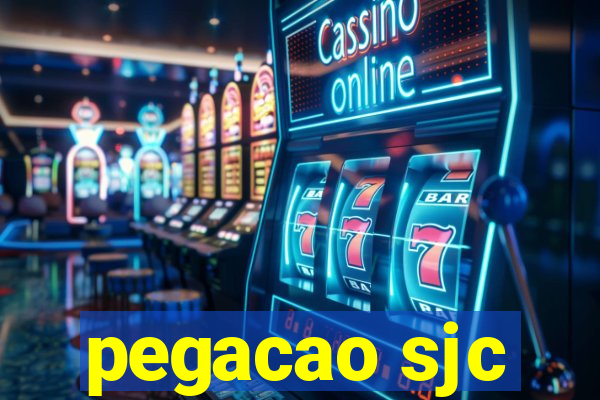 pegacao sjc